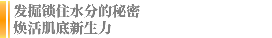 640 (8).png 640 (8).png